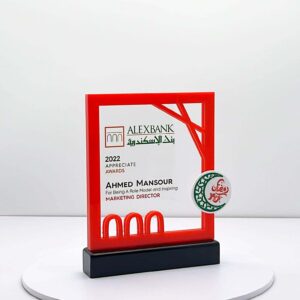 Acrylic Trophie