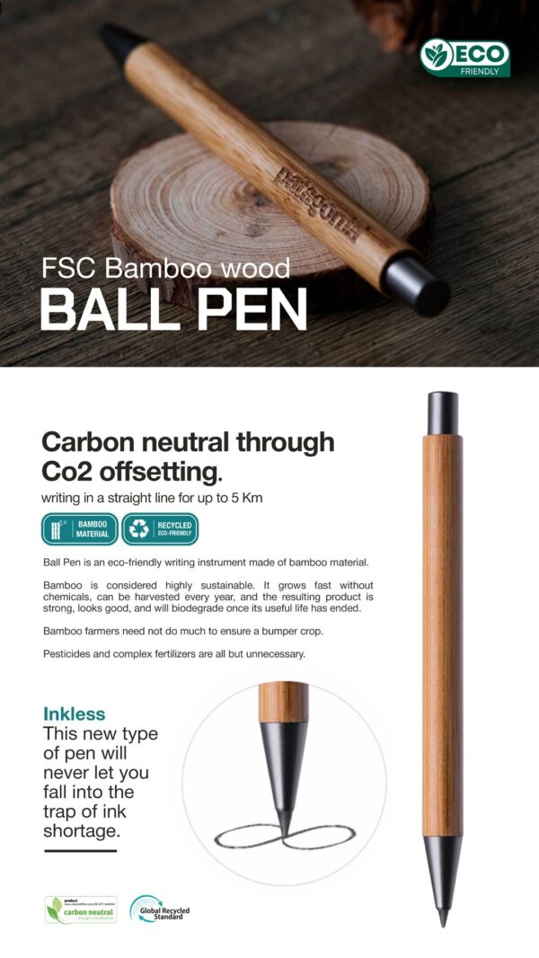 Ecofriendly Pen 2