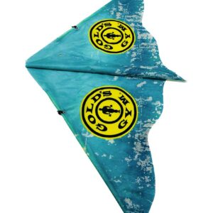 Beach kite 2