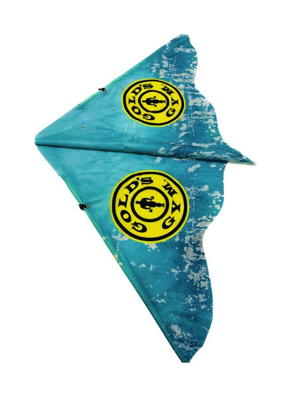 Beach kite 2